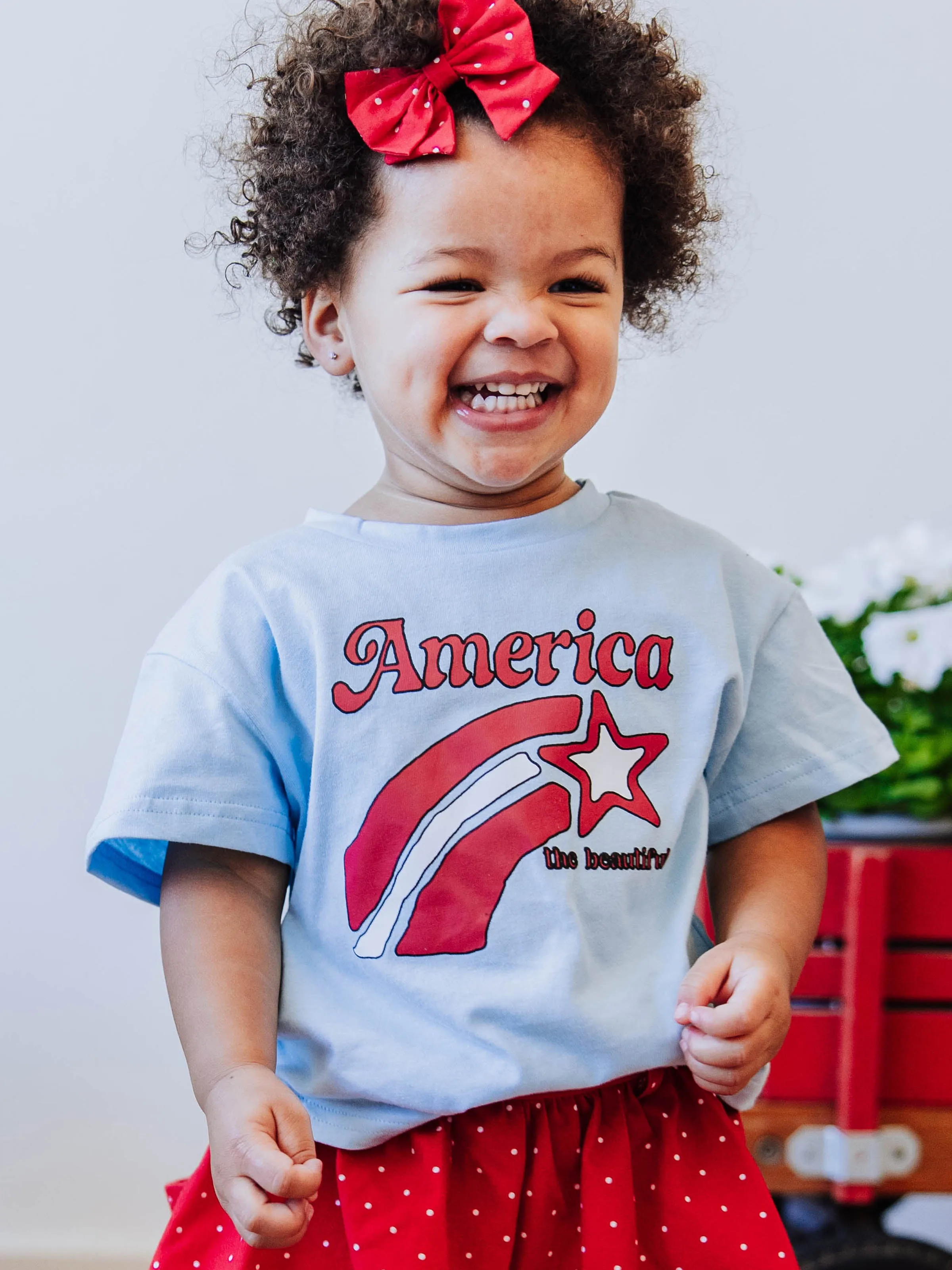 Graphic Tee - America the Beautiful Blue